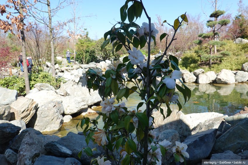 Куклы Ruby Red - Руби Ред