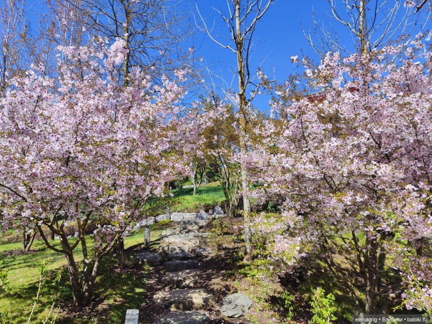 Джи Джи в японском саду — Куклы Ruby Red (Руби Ред) Fashion Friends: Siblies (фото 9)