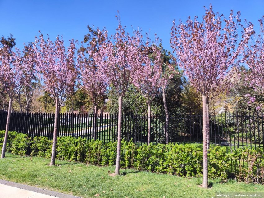 Джи Джи в японском саду — Куклы Ruby Red (Руби Ред) Fashion Friends: Siblies (фото 8)