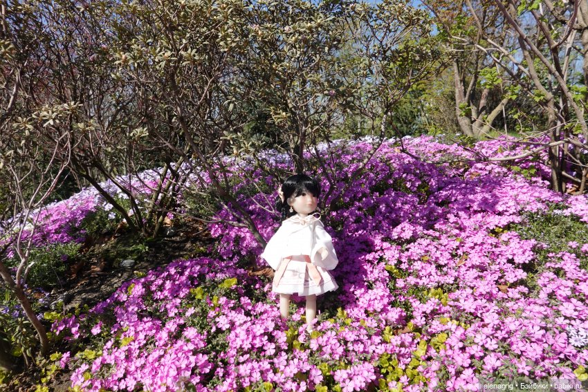 Куклы Ruby Red - Руби Ред