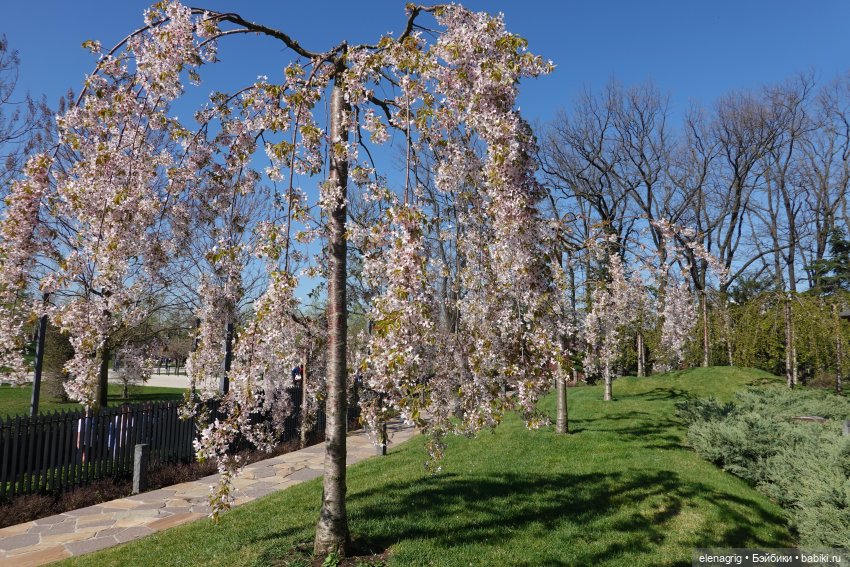 Куклы Ruby Red - Руби Ред