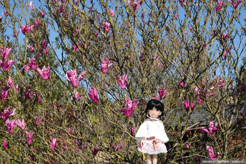 Куклы Ruby Red,Siblies Кукла Джи Джи, 31 см