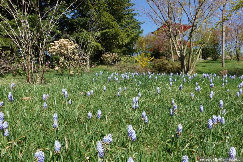 Куклы Ruby Red - Руби Ред