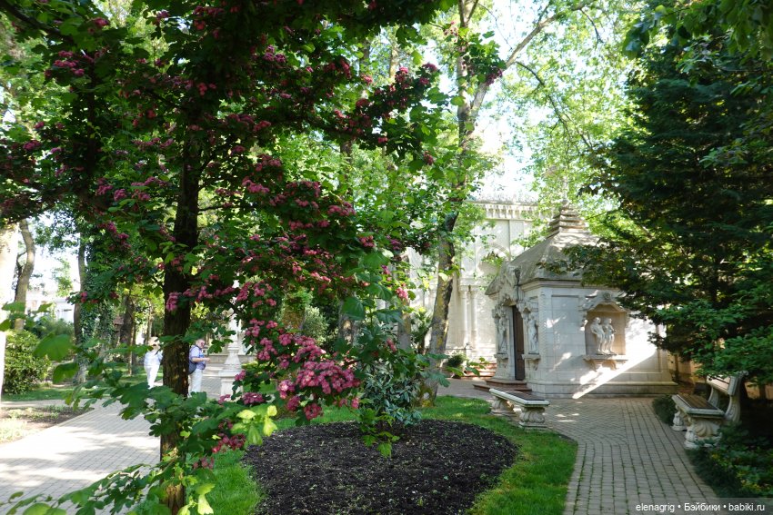 Старый парк Старый парк