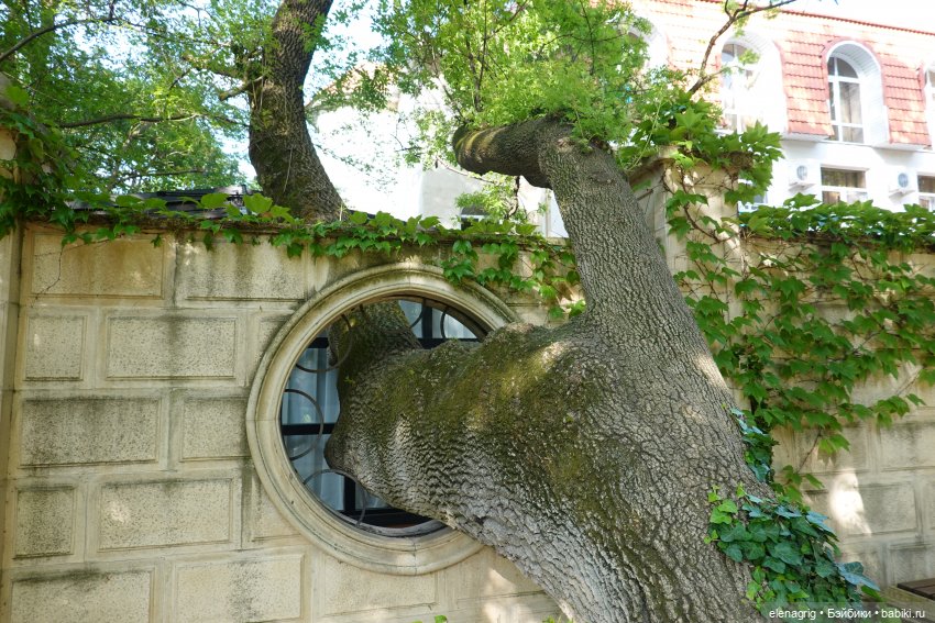 Старый парк в Кабардинке | Бэйбики Старый парк в Кабардинке — Куклы Ruby Red (Руби Ред) Fashion Friends: Siblies