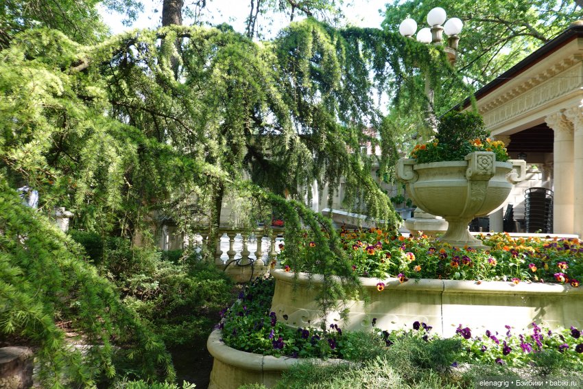 Старый парк в Кабардинке | Бэйбики Старый парк в Кабардинке — Куклы Ruby Red (Руби Ред) Fashion Friends: Siblies