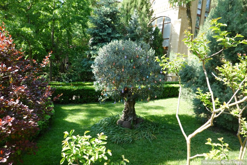 Старый парк в Кабардинке | Бэйбики Старый парк в Кабардинке — Куклы Ruby Red (Руби Ред) Fashion Friends: Siblies