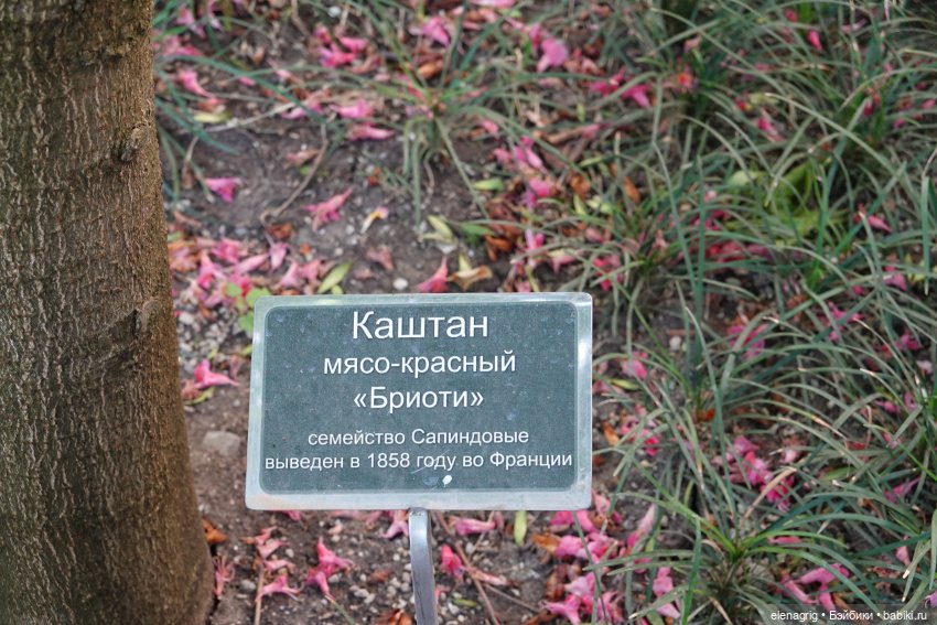 Старый парк в Кабардинке | Бэйбики Старый парк в Кабардинке — Куклы Ruby Red (Руби Ред) Fashion Friends: Siblies