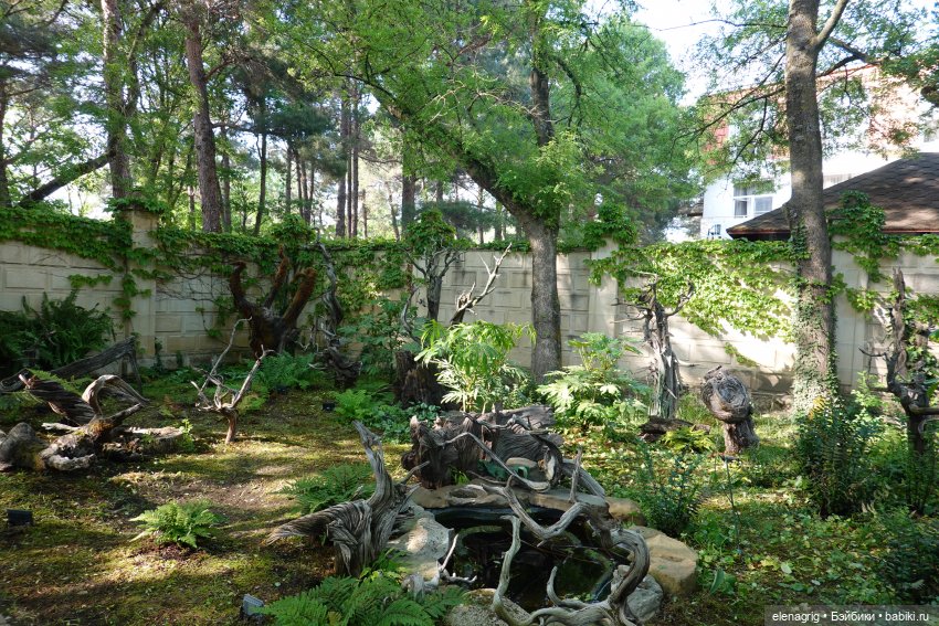 Старый парк в Кабардинке | Бэйбики Старый парк в Кабардинке — Куклы Ruby Red (Руби Ред) Fashion Friends: Siblies