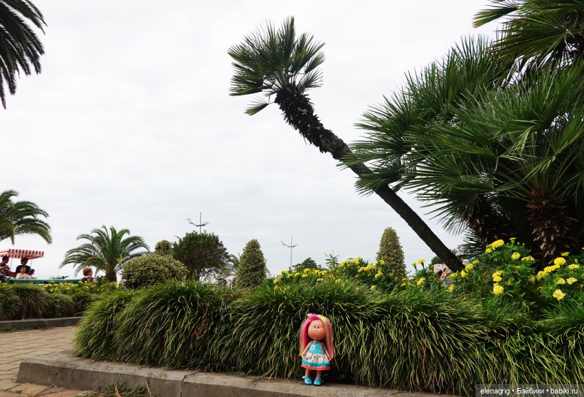 Грузия, Батуми