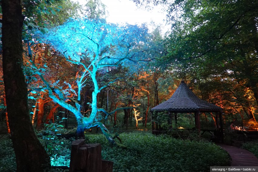 Грузия, Батуми