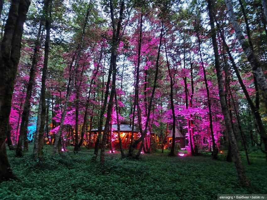 Грузия, Батуми