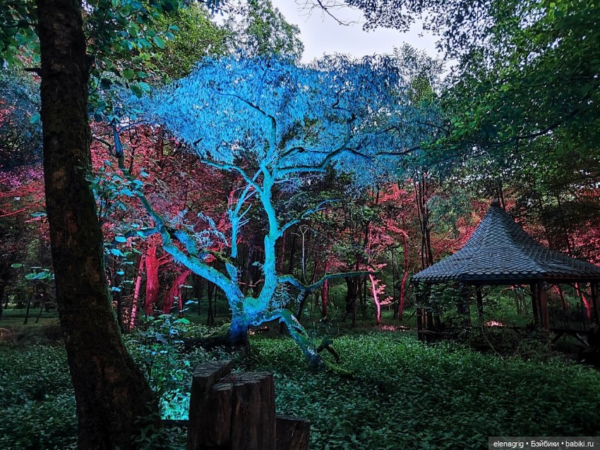 Грузия, Батуми