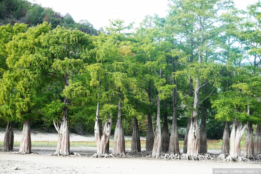 Анапа в октябре | Бэйбики Анапа в октябре — Куклы Ruby Red (Руби Ред) Fashion Friends: Siblies