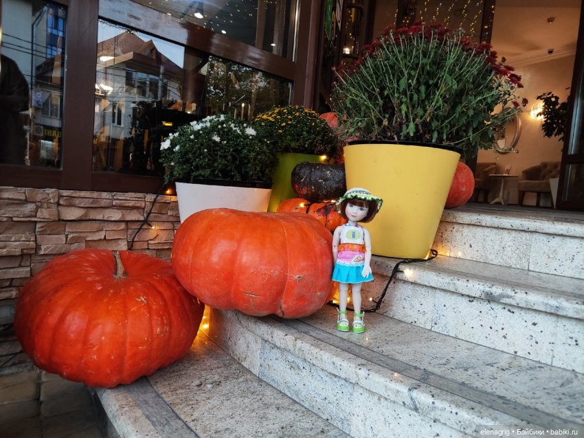 Анапа в октябре | Бэйбики Анапа в октябре — Куклы Ruby Red (Руби Ред) Fashion Friends: Siblies (фото 3)