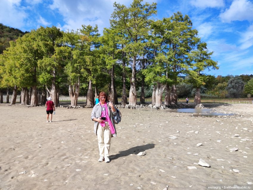 Анапа в октябре | Бэйбики Анапа в октябре — Куклы Ruby Red (Руби Ред) Fashion Friends: Siblies