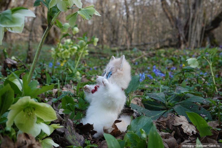 Весеннее — Куклы Ruby Red (Руби Ред) Fashion Friends: Siblies (фото 5)