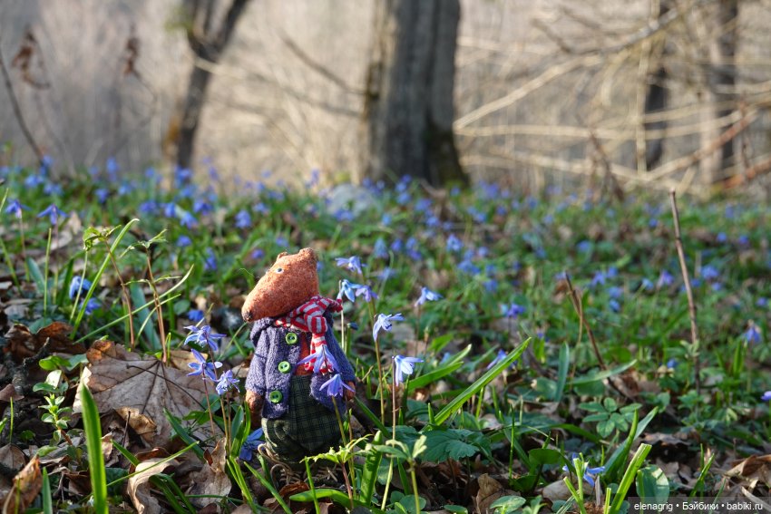 Весеннее — Куклы Ruby Red (Руби Ред) Fashion Friends: Siblies