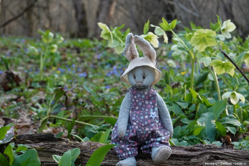 Весеннее — Куклы Ruby Red (Руби Ред) Fashion Friends: Siblies (фото 7)