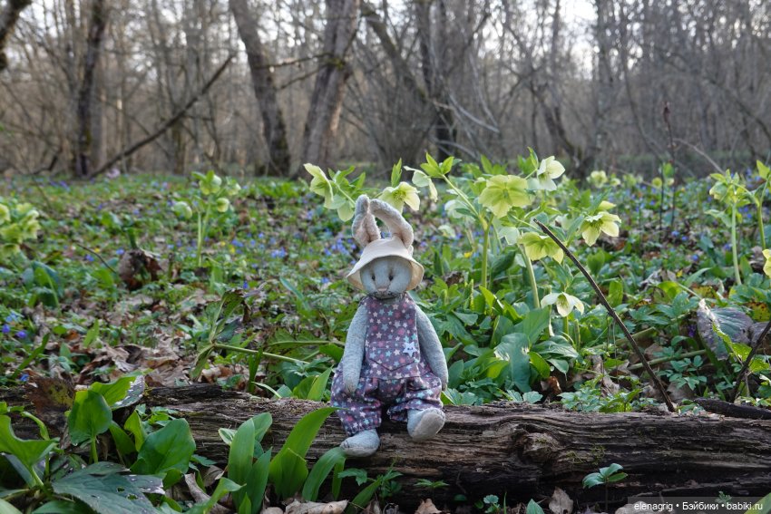 Весеннее — Куклы Ruby Red (Руби Ред) Fashion Friends: Siblies (фото 8)