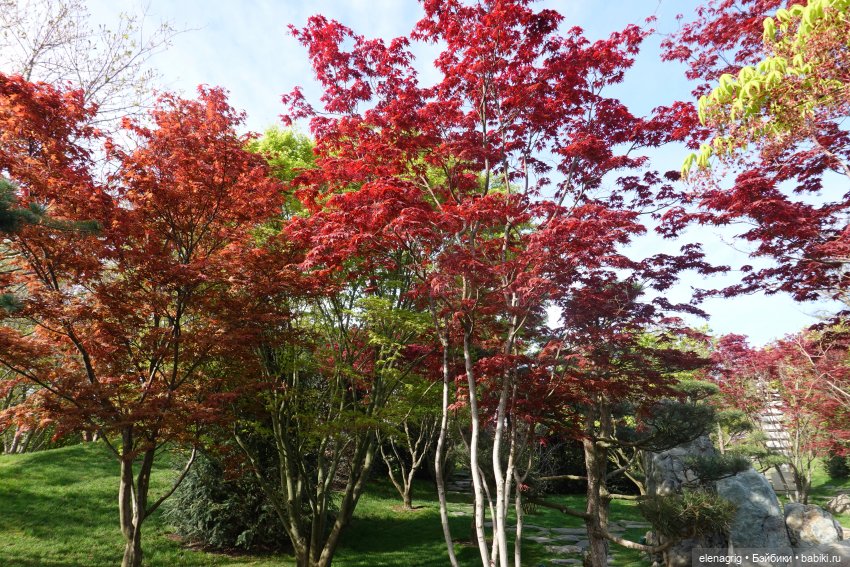 Гуляем в японском саду — Куклы Nines d'Onil (Нинес): Миа (Mia) (фото 5)