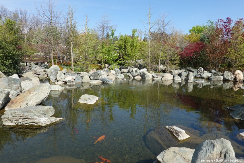 Гуляем в японском саду — Куклы Nines d'Onil (Нинес): Миа (Mia) (фото 10)