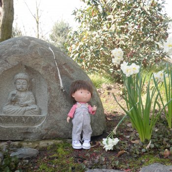 Гуляем в японском саду