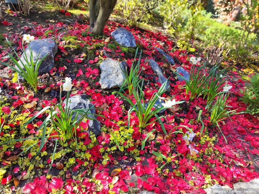 Гуляем в японском саду — Куклы Nines d'Onil (Нинес): Миа (Mia)