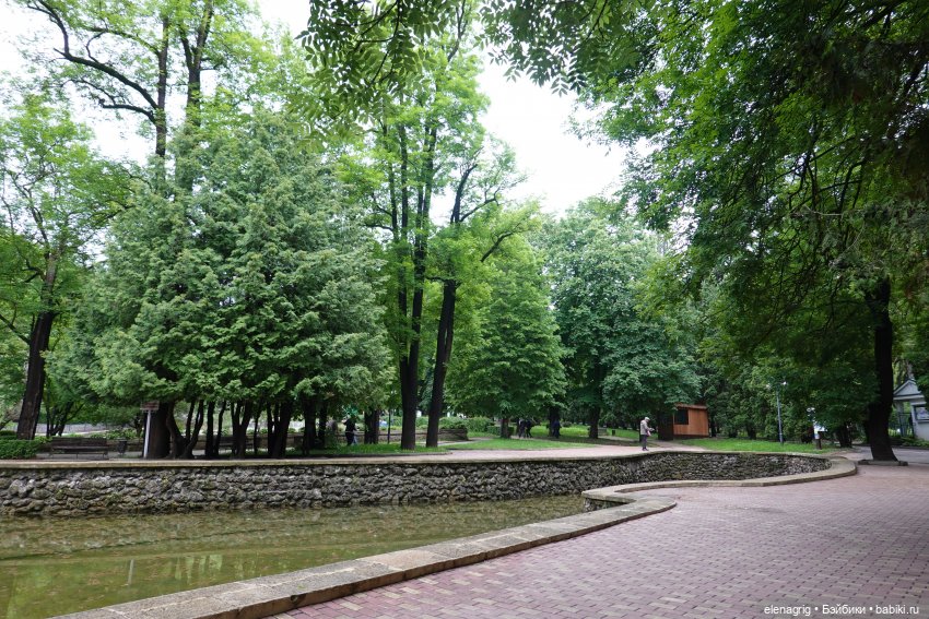 Юбилей в Кисловодске — Куклы Ruby Red (Руби Ред) Fashion Friends: Siblies