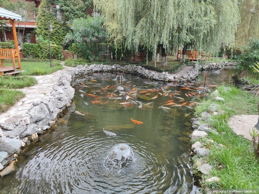 Розовый фламинго в лучах заката или воспоминания о лете