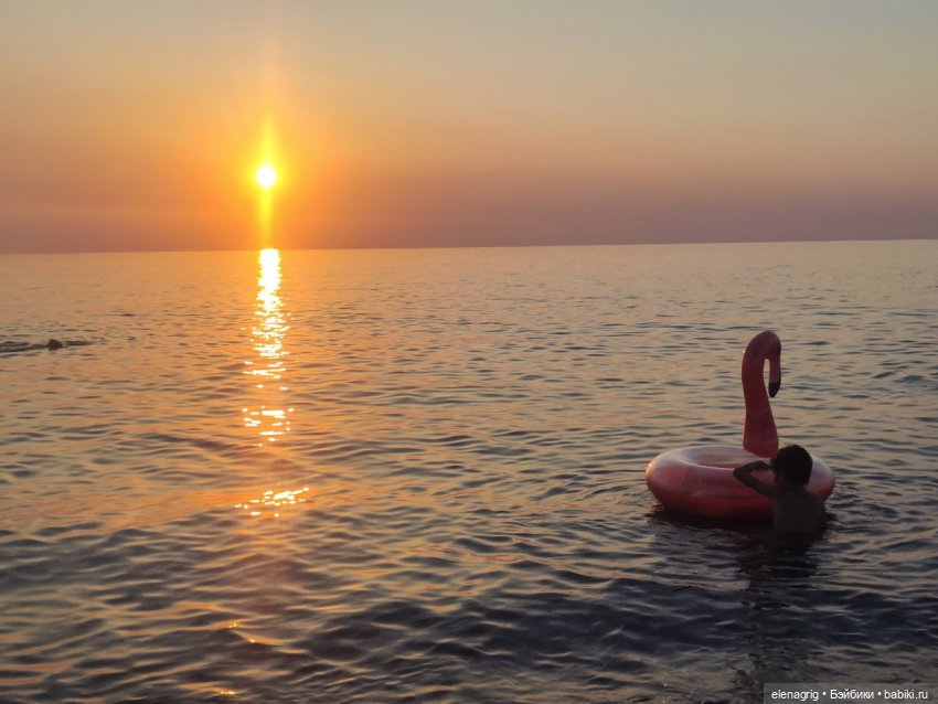Розовый фламинго в лучах заката или воспоминания о лете