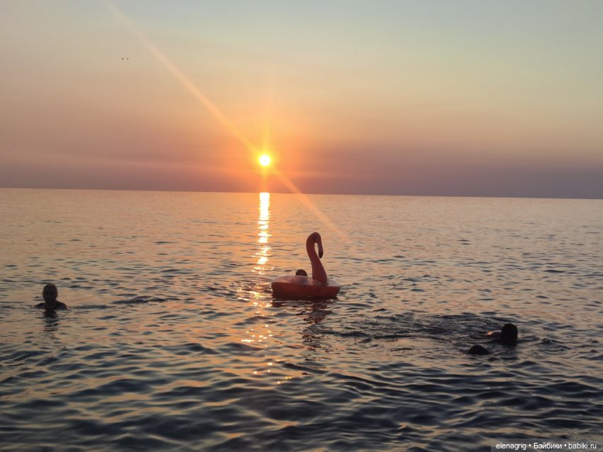 Розовый фламинго в лучах заката или воспоминания о лете