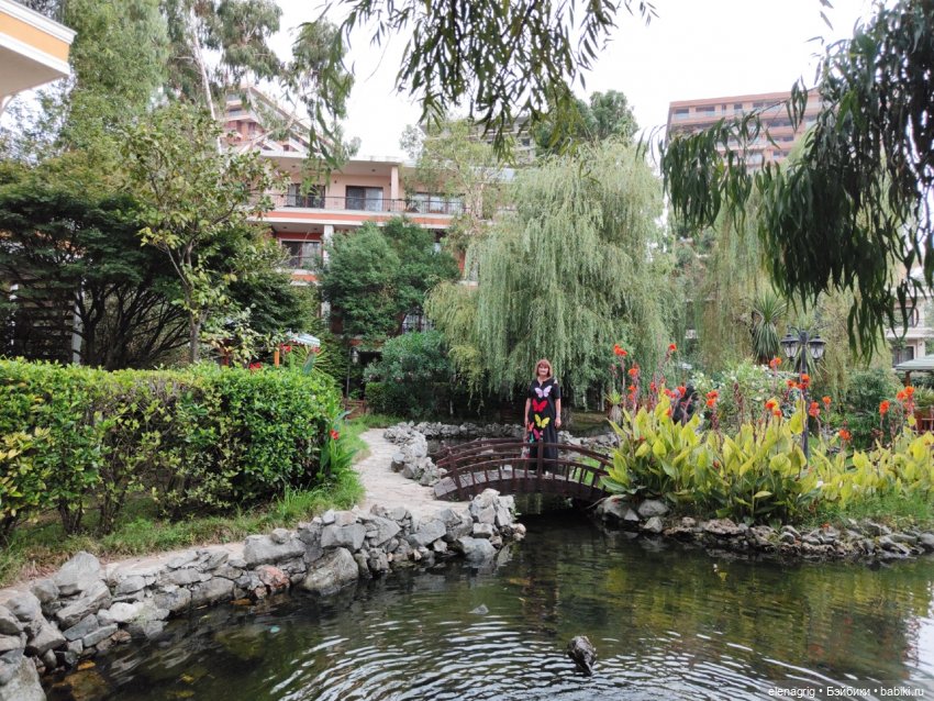 Розовый фламинго в лучах заката или воспоминания о лете