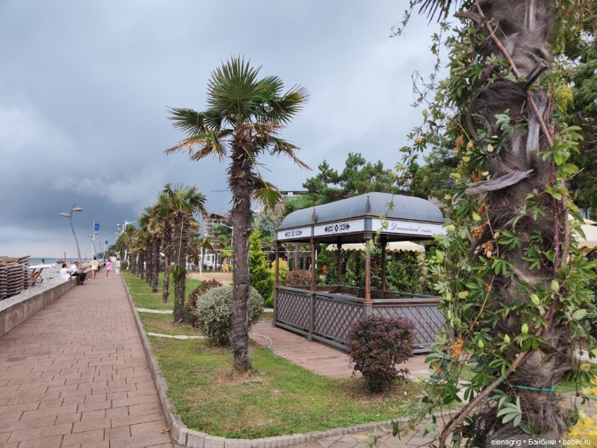 Розовый фламинго в лучах заката или воспоминания о лете (фото 3)