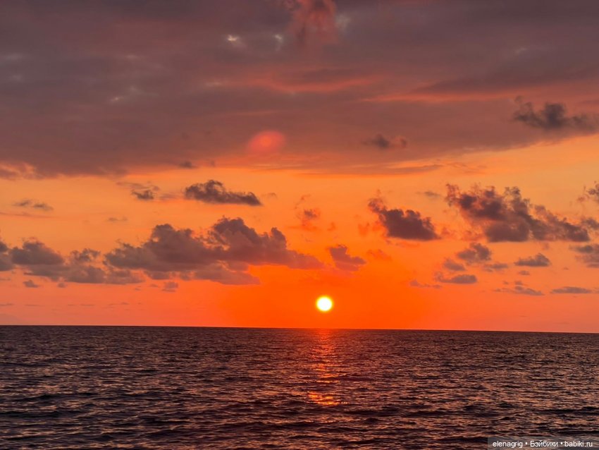 Розовый фламинго в лучах заката или воспоминания о лете
