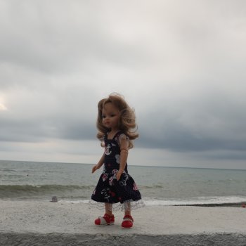 Розовый фламинго в лучах заката или воспоминания о лете