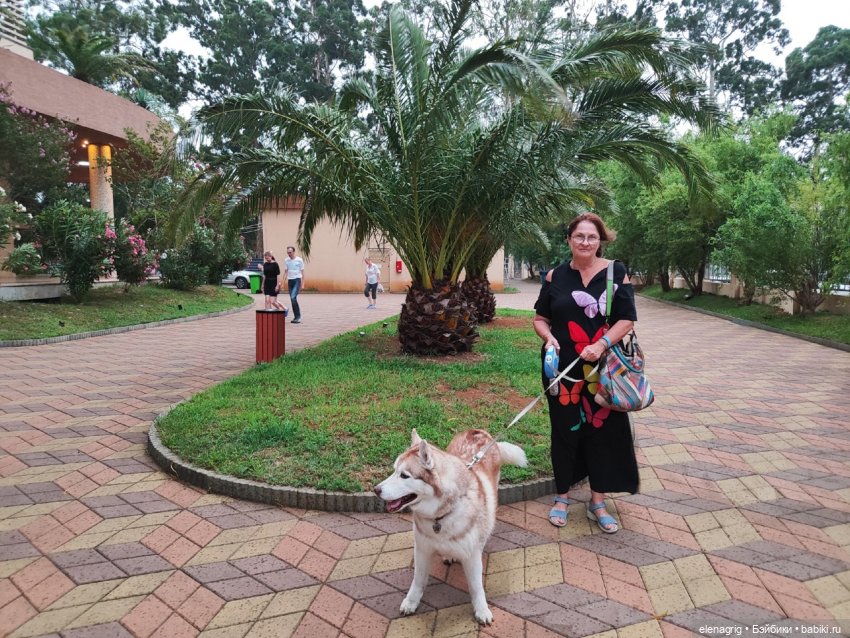 Розовый фламинго в лучах заката или воспоминания о лете (фото 5)