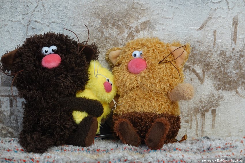 Буди Баса, кофейные коты