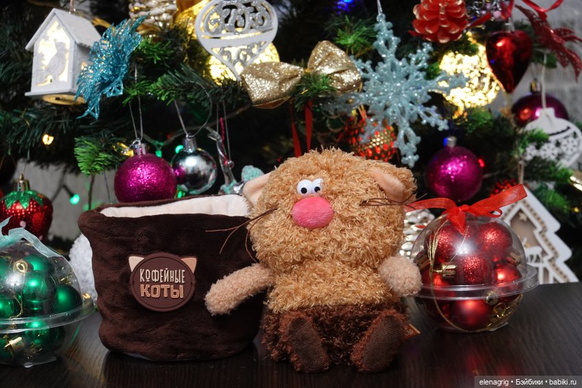 Буди Баса, кофейные коты