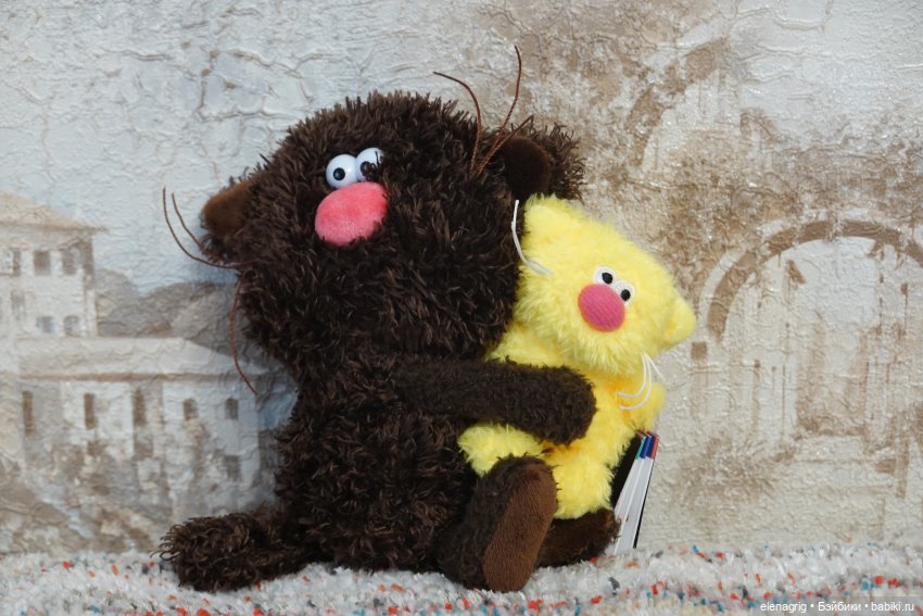 Буди Баса, кофейные коты