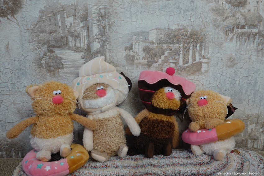 Буди Баса, кофейные коты