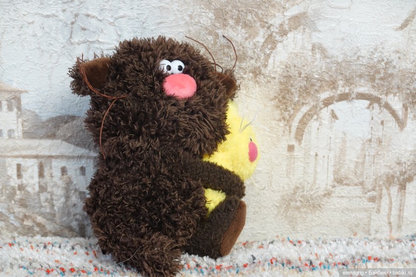 Буди Баса, кофейные коты