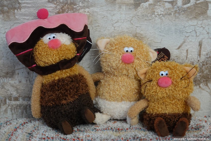 Буди Баса, кофейные коты