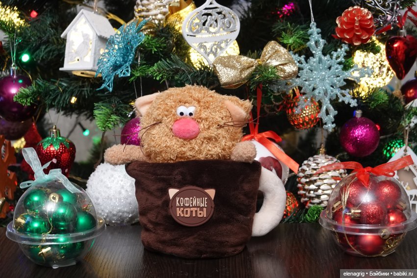 Буди Баса, кофейные коты