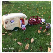 Загородная прогулка