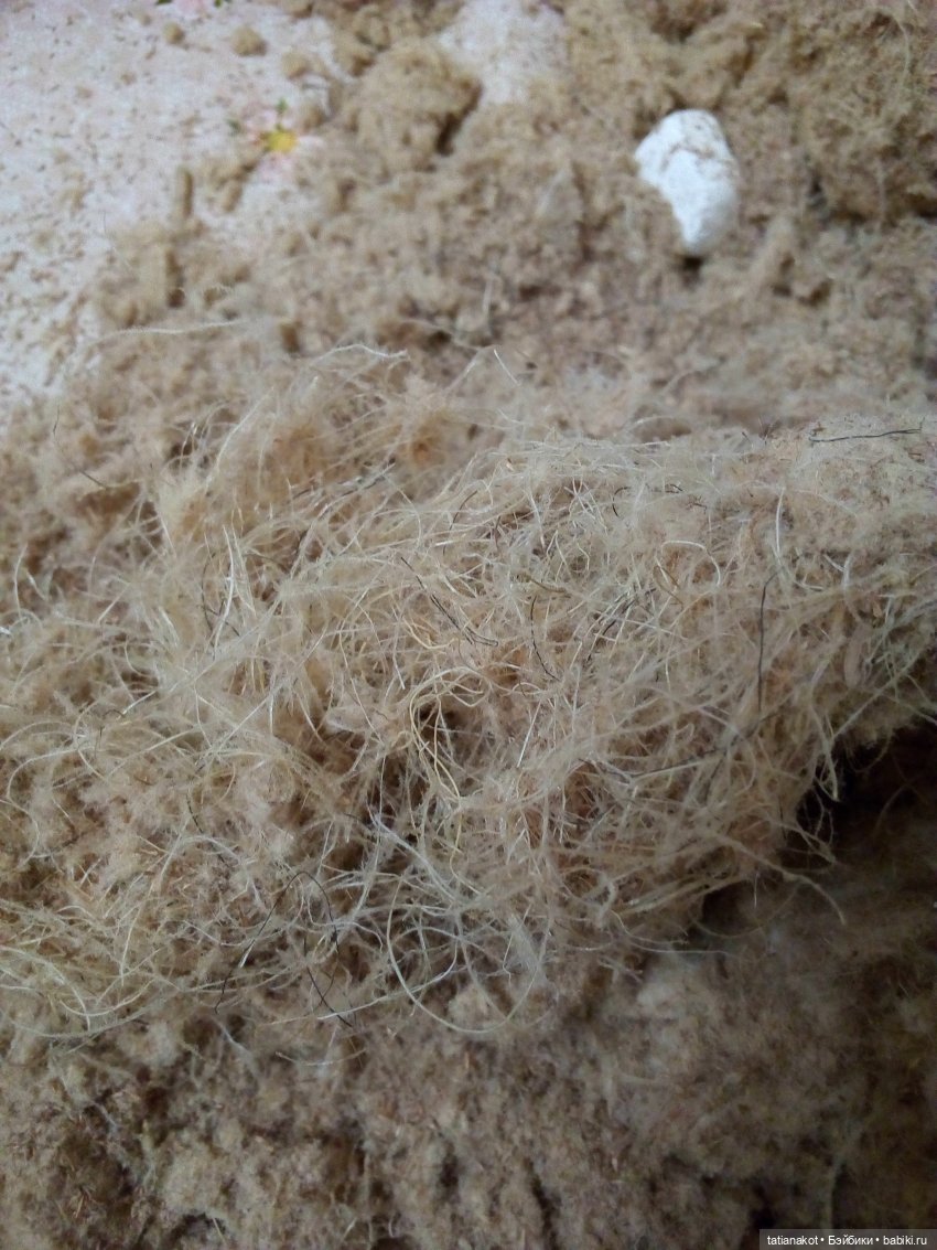 Что у них внутри и что с этим делать (фото 4)