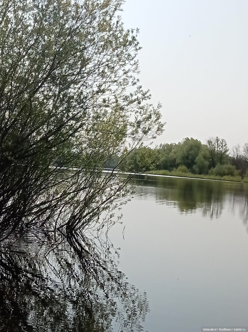 А на рыбалке солнце светит