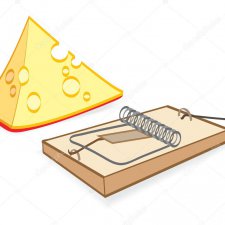 Бесплатный сыр только в мышеловке!