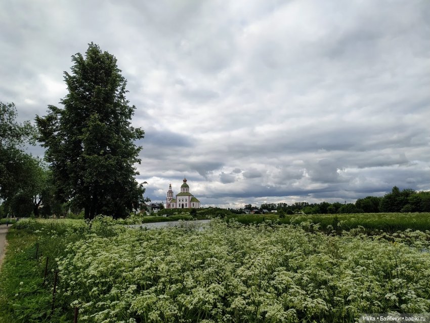Суздаль —город мечта — Туризм и путешествия: фотоотчеты из поездок (фото 6)