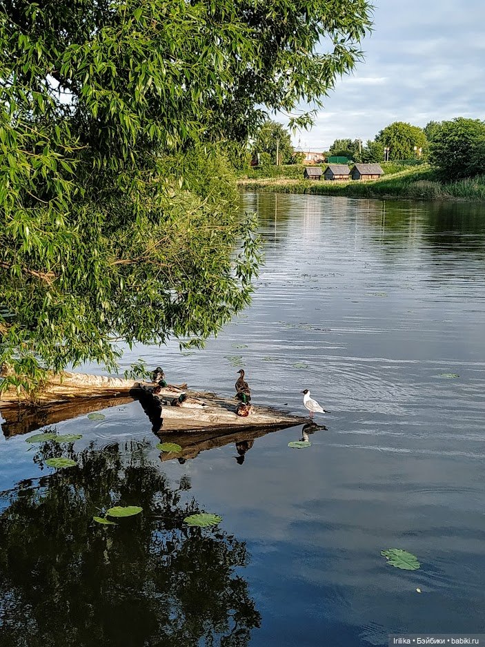 Суздаль —город мечта — Туризм и путешествия: фотоотчеты из поездок (фото 8)